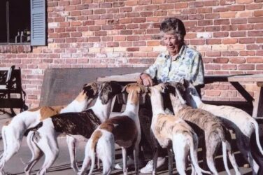 Carol Harris with her dogs