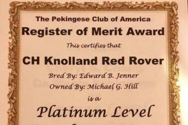 rom ch knolland red rover plantinum level sire of sitinction
