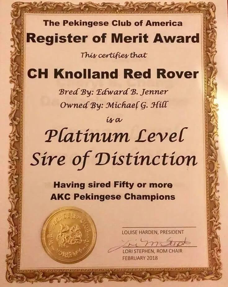 rom ch knolland red rover plantinum level sire of sitinction