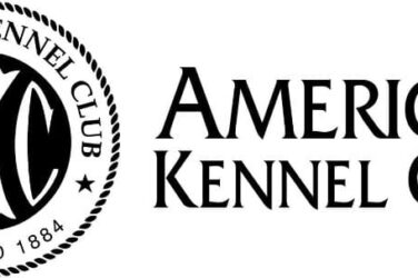 American Kennel Club banner