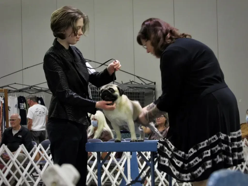 Toy Dog Club of Central Arkansas 2022 Dog Show