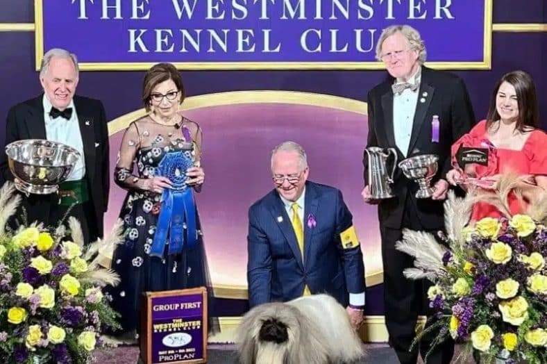 Cindy Vogels - 2023 WKC Dog Show Toy Group Judge, pictured at the show