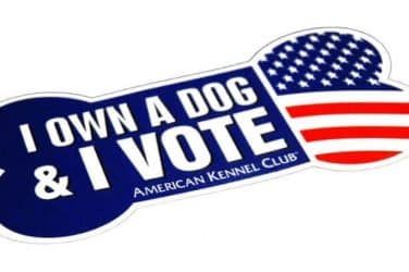 AKC's "I own a dog & I vote" banner.