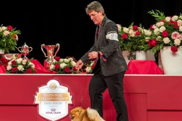 2023 AKC National Championship Bred-By-Exhibitor winner